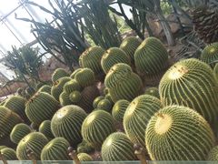 -北京植物园-展览温室