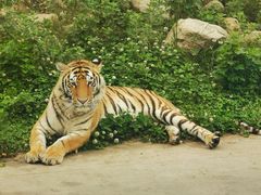 -西安秦岭野生动物园