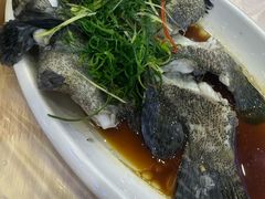 -青澳湾北回归线广场
