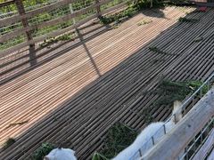 -小鱼草莓采摘园农家乐·小鱼餐厅