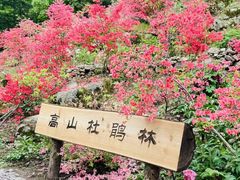 -洛阳白云山景区