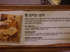-信不信由你博物馆