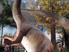 -湖南省地质博物馆