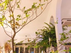 -春树下·树屋花房西餐厅(罍街AS1980店)