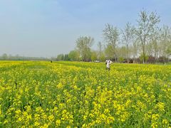 -汉长安城未央宫国家考古遗址公园