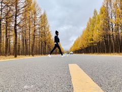 -塞罕坝国家级自然保护区