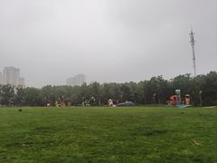 -四里河滨水生态公园