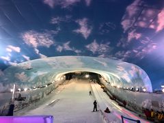 -世界之窗阿尔卑斯冰雪世界