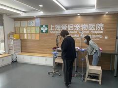 -爱侣宠医·鹦鹉专科·小型哺乳类·异宠专科(灵石路店)