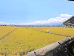 -喜林苑·稻田餐厅(品相府店)