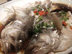 清蒸海鲈鱼-新白鹿餐厅(金鹰新街口店)