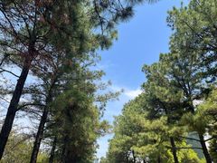 -同济大学(嘉定校区)