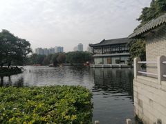 -荔湾湖公园