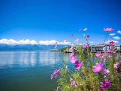 -携程旅游(中山公园旗舰店)