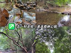 -清溪森林公园
