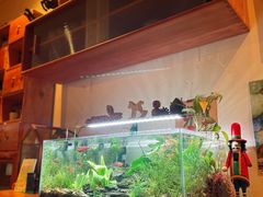 -懒鱼时光馆(沙坪坝店)