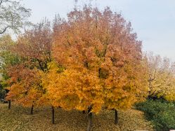 -大望京儿童游乐场