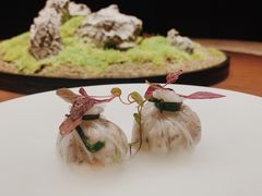 -觀芷隐轩