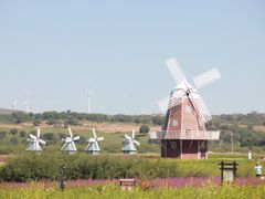 -塞罕坝国家级自然保护区