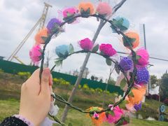 -荷兰花海