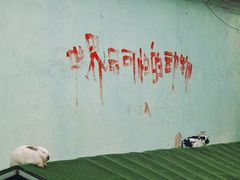 -1982农场