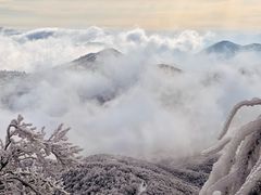 -安吉龙王山风景区