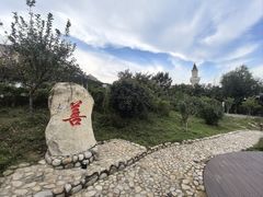 -崂山仰口游览区