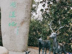 -溱湖国家湿地公园