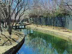 -三里河公园