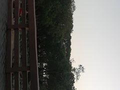 -宝安西湾红树林湿地公园