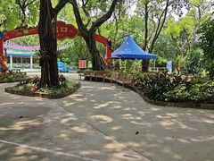 -广州长隆飞鸟乐园