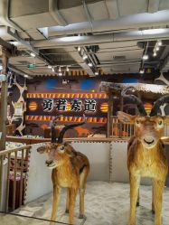 -鲁比猴非洲探索部落(喜盈门店)