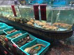 水产区-海大大蒸汽海鲜餐厅·粤菜·特色小炒(欢乐颂店)