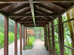 -重庆彩云湖湿地公园