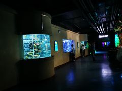 -乌鲁木齐海洋馆