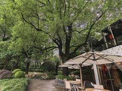 -申粤轩酒楼·三十年粤菜经典(丁香花园店)