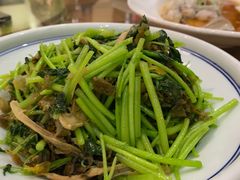 -新天明砂锅鱼头煲