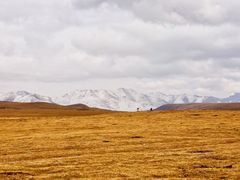 -祁连山草原