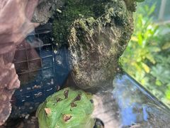 -南宫五洲植物乐园