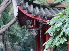 -乌山风景区