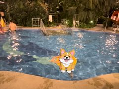 -中家鑫园温泉酒店鑫悦汤泉