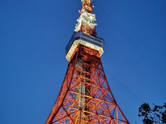 -东京塔海贼王主题公园