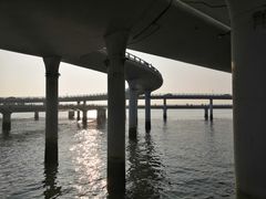 -演武大桥观景平台