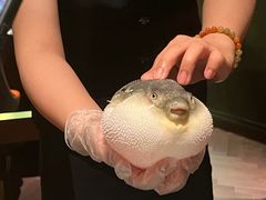 -肆月河豚·淮扬菜·湘菜(华天店)