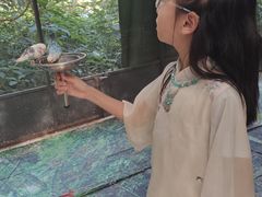 -野象谷景区