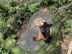 -杭州野生动物世界