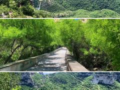 -抱犊寨风景区