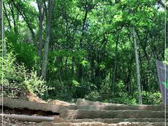 -上海佘山国家森林公园天马山园