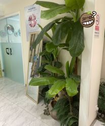 -健身堂科技美肌SPA
