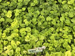 -天毓山庄·餐厅